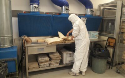 10 Consigli Essenziali per Proteggere gli Archivi e le Biblioteche dagli Insetti